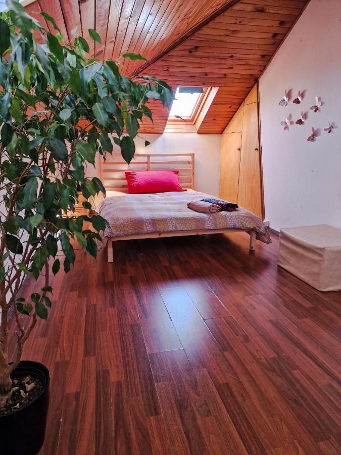 Beautiful Aparment Next To The Border 4 Room Saint-Louis  Exterior foto
